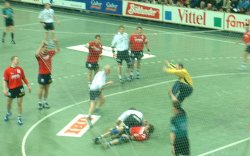 Dieser Treffer von Pettersson gegen Hameln wurde nicht gegeben.