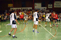 Trotz müder Beine probierten die Zebras verschiedene Deckungsvarianten aus. Trotz müder Beine probierten die Zebras verschiedene Deckungsvarianten aus.