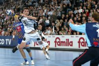 F�hrte die Zebra-Herde zum Erfolg: Leitwolf Stefan L�vgren