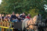 Eine der netten Ideen der Veranstalter: Die Zebras hatten sichtlich Spaß auf der Kutsch-Tour zur Halle! Eine der netten Ideen der Veranstalter: Die Zebras hatten sichtlich Spaß auf der Kutsch-Tour zur Halle!