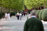 Parkanlage im Zentrum der "königlichen Stadt". Parkanlage im Zentrum der "königlichen Stadt".