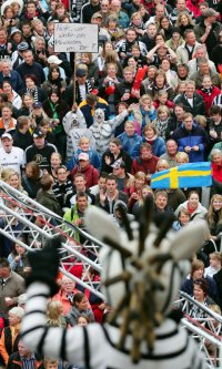 Hein Daddel blickt auf Jeannie und Manu im Zebra-Kostüm. Hein Daddel blickt auf Jeannie und Manu im Zebra-Kostüm.