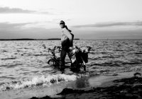 Ein weiteres Motiv aus dem Kalender. Ein weiteres Motiv aus dem Kalender.