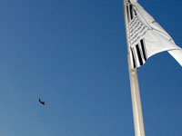 Der THW Kiel im Anflug. Der THW Kiel im Anflug.