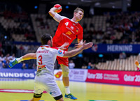 "Zebra" mit Kurzeins�tzen: Aron Palmarsson.