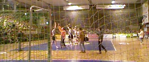 [Bild: Die Zebras beim Einlaufen]