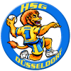 Logo von Gegnerdaten HSG D�sseldorf