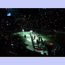 Immer wieder toll: Die Zebras laufen ein.